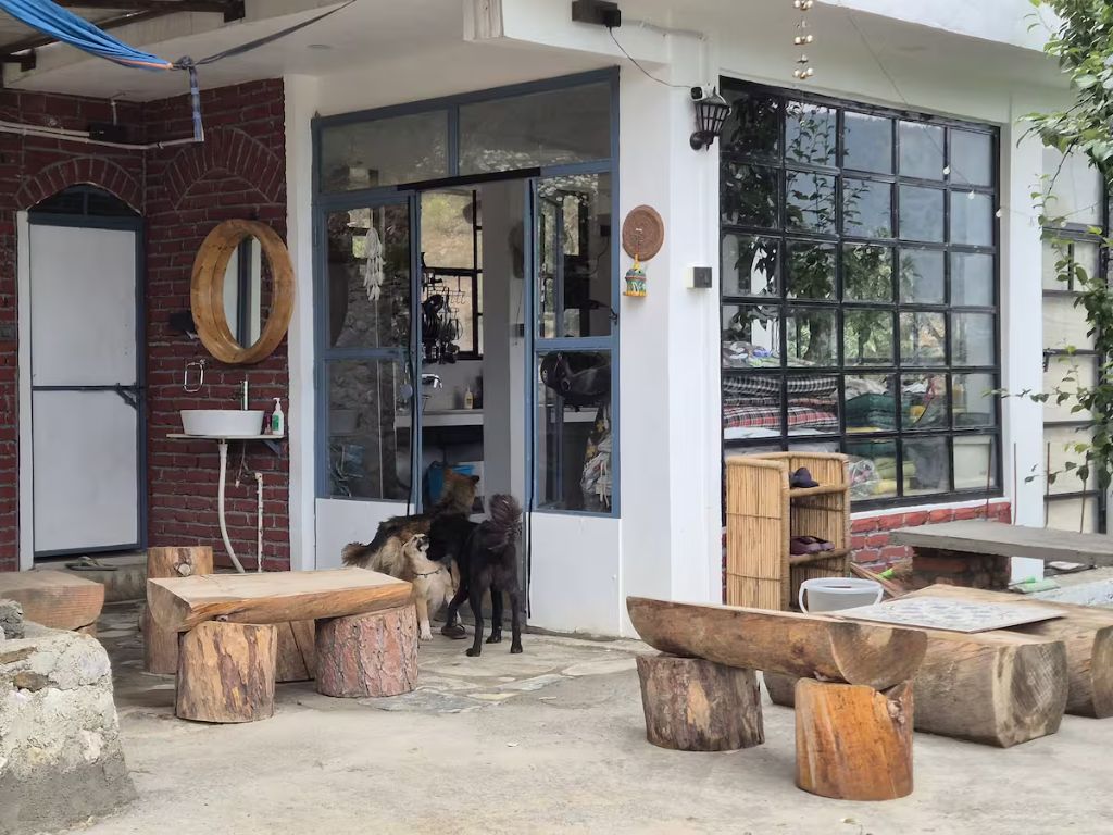 Patio with dogs