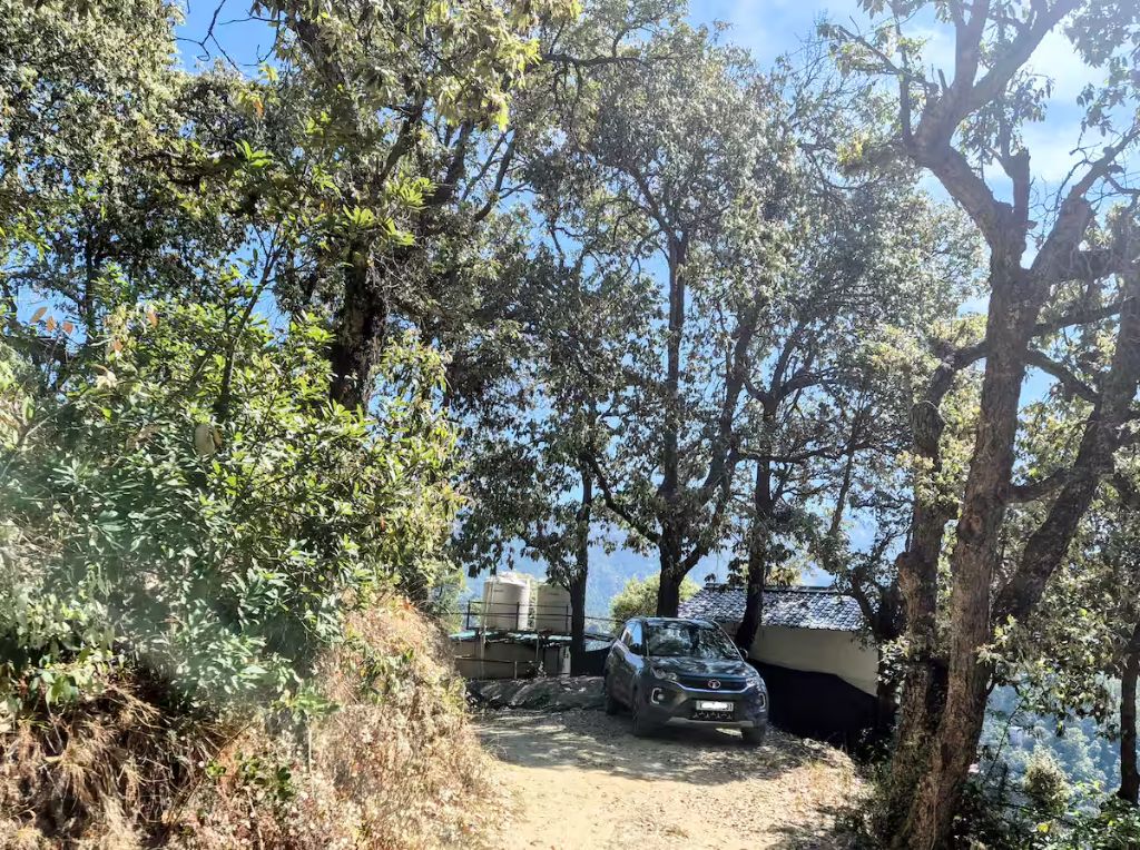 Forest driveway