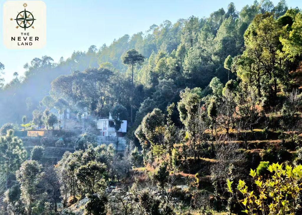 The Never Land nestled in the forested hills of Mukteshwar