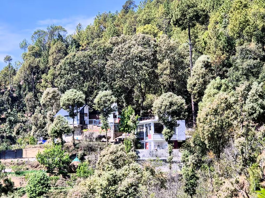 Hillside view of the property