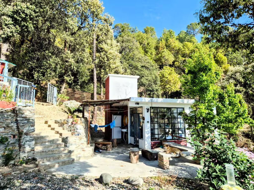 Exterior with dog